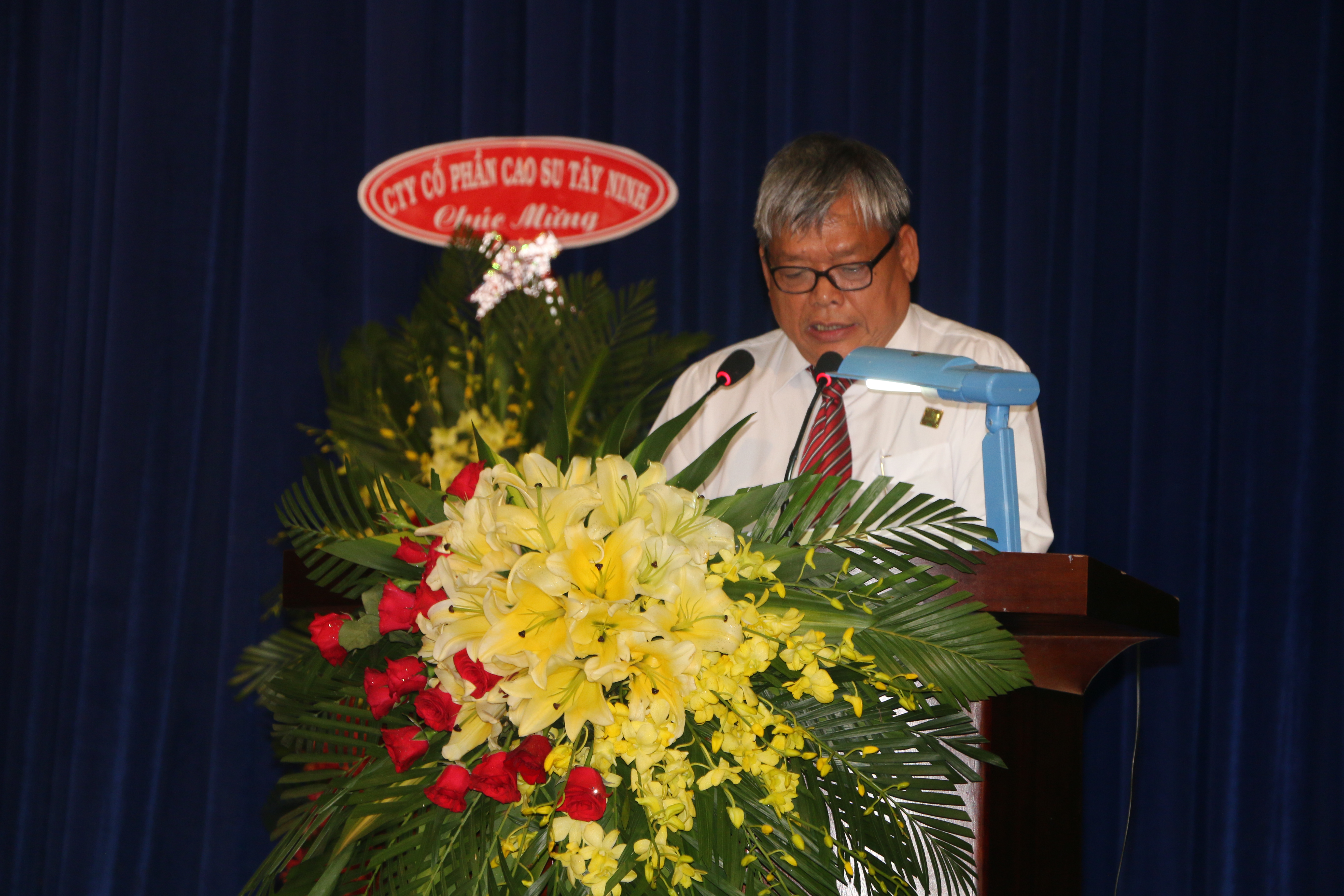 Ông Lê Phi Hùng báo cáo hoạt động SXKD năm 2016 và phương hướng năm 2017 của công ty