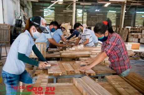 Phải xây dựng thương hiệu gỗ cao su Việt Nam