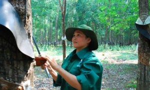 Ngô Thị Nga trên vườn cây nhận khoán.