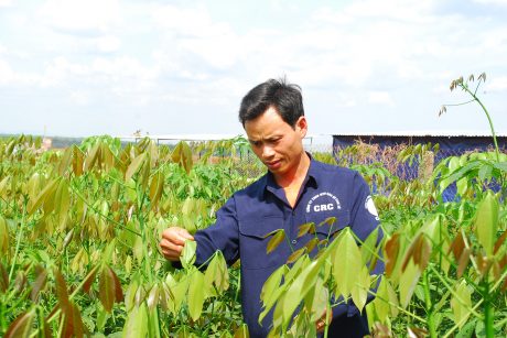 Anh Trịnh Văn Hạnh bên vườn giống chuẩn bị cho mùa tái canh mới.