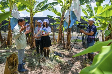 Phóng viên Quỳnh Mai (người cầm micro) tác nghiệp tại dự án trồng chuối của Công ty Cao su Dầu Tiếng. Ảnh: Sinh Thành 