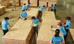 Doanh nghiệp Việt Nam hoàn toàn có khả năng khai thác giá trị cao nhất của ngành goog. Ảnh: Vũ Phong