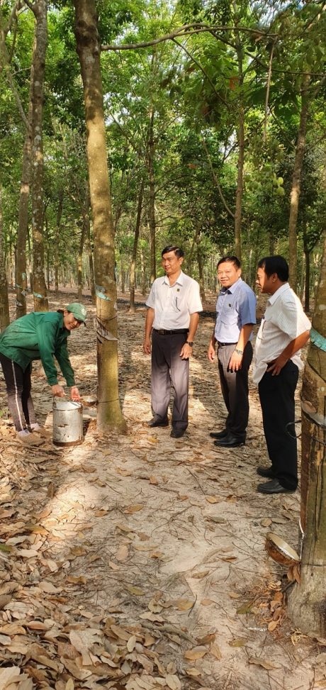 Lãnh đạo NT Lai Uyên thăm hỏi, động viên công nhân tại lô cao su vào những ngày đầu năm mới 2020