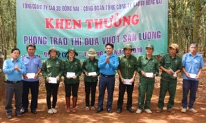 Hội diễn đã để lại ấn tượng sâu đậm trong lòng khán giả.