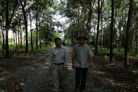 Anh Lê Văn Bảy (bên phải) trên vườn cây cao su. 